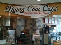 flying-cow