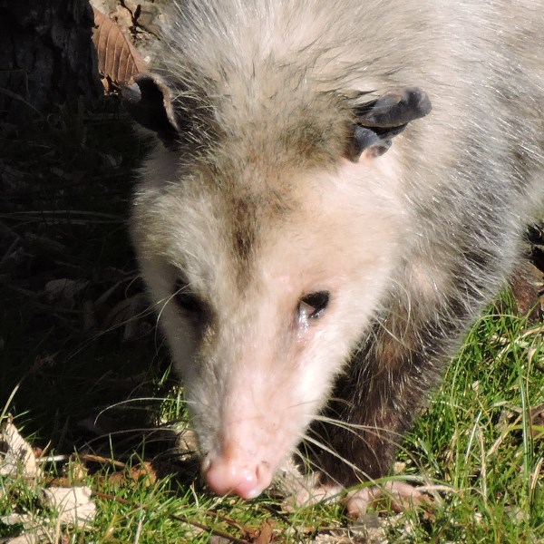 Last Day at&nbsp;Maumelle