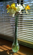 flowers still pretty