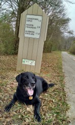 Scout loved the Silver Comet Trail
