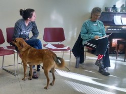 Marti bringing devotional. Amanda and Lottie attended today.