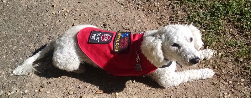 Meet Gabriel (the&nbsp;angel)