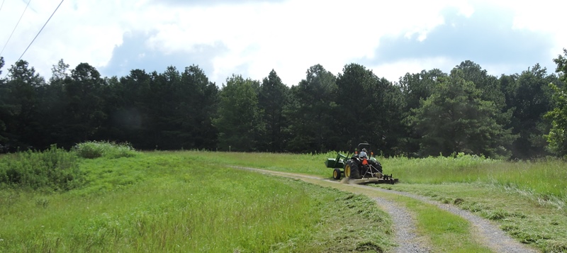 Maintenance Day at&nbsp;Home