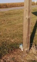 A geocache hidden in plain sight