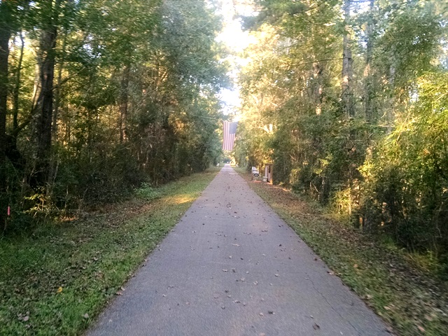 Riding the Longleaf&nbsp;Trace