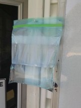 There is this plastic bag with water and a coin in it to keep flies away from the office door.