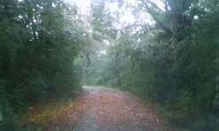 Headed to church in the middle of the storm