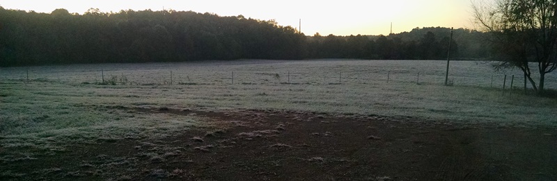 Ice In The Morning, Air Conditioner In The&nbsp;Afternoon