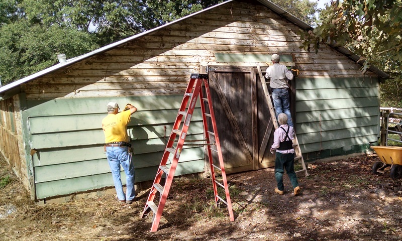 Stripping The Barn