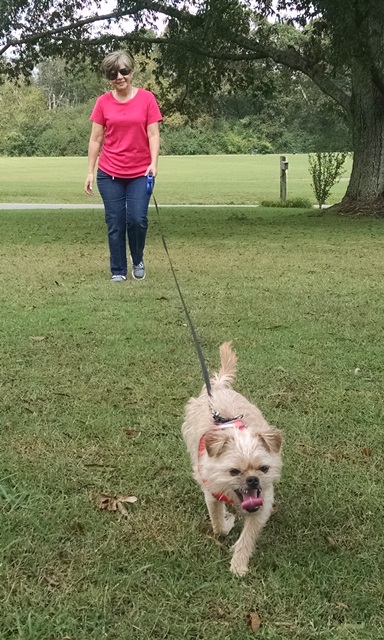 More Errands and A Puppy&nbsp;Fix