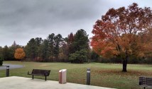 More fall foliage