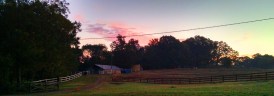 Sunrise over the barn