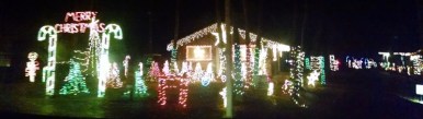 Christmas lights