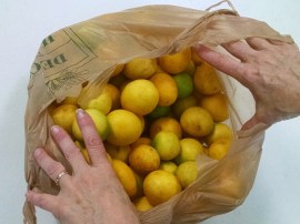 bag of key limes