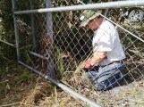Mike clearing brush from around gate