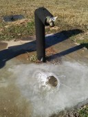 This morning's ice sculpture