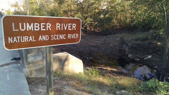 Working and Walking&nbsp;Wednesday