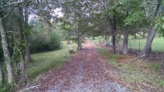 Our community walking track