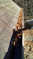 Gutter cleaning