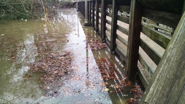 Quick Visit To&nbsp;Tuscaloosa