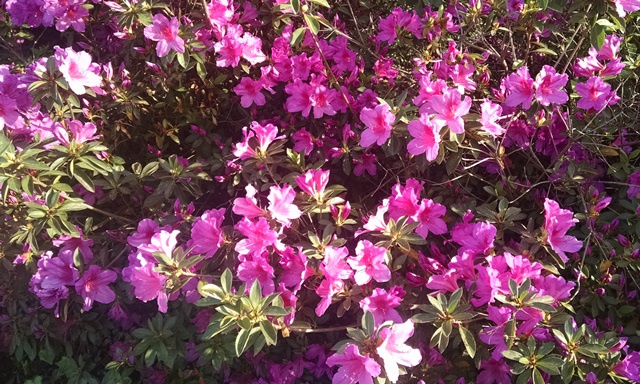 A Good Week In&nbsp;Tuscaloosa