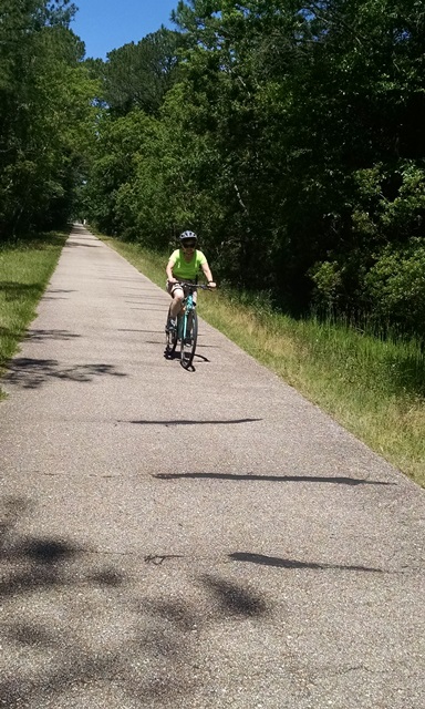 Riding the Tammany&nbsp;Trace