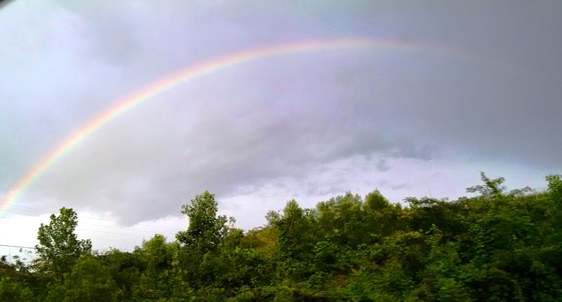 Another Busy Week – and&nbsp;HOT