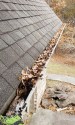 Gutter Cleaning