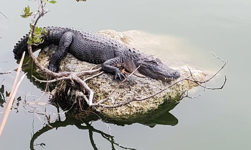 Nice Day on the&nbsp;Island