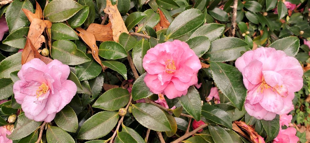 Another Week in&nbsp;Review