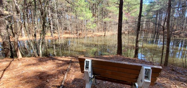 Back On The Mountain&nbsp;Again