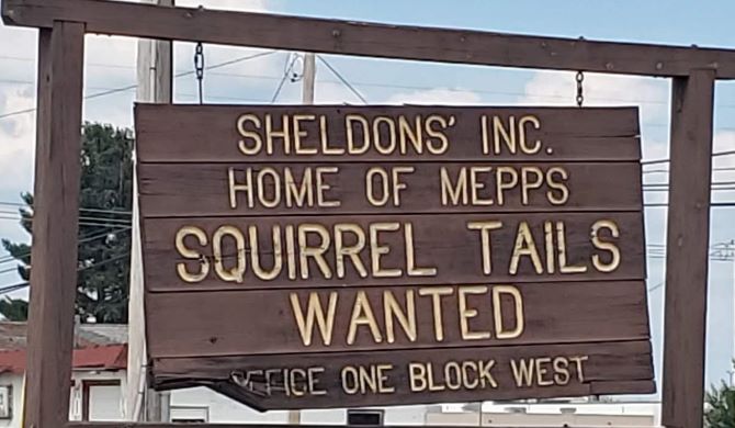 Squirrel Tails and God&nbsp;Winks