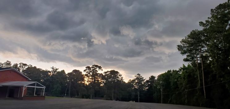 Another Week in&nbsp;Laurel