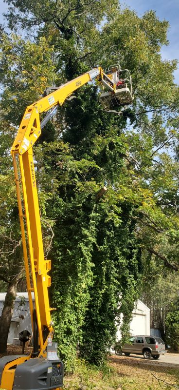 Different Kinds of&nbsp;Projects