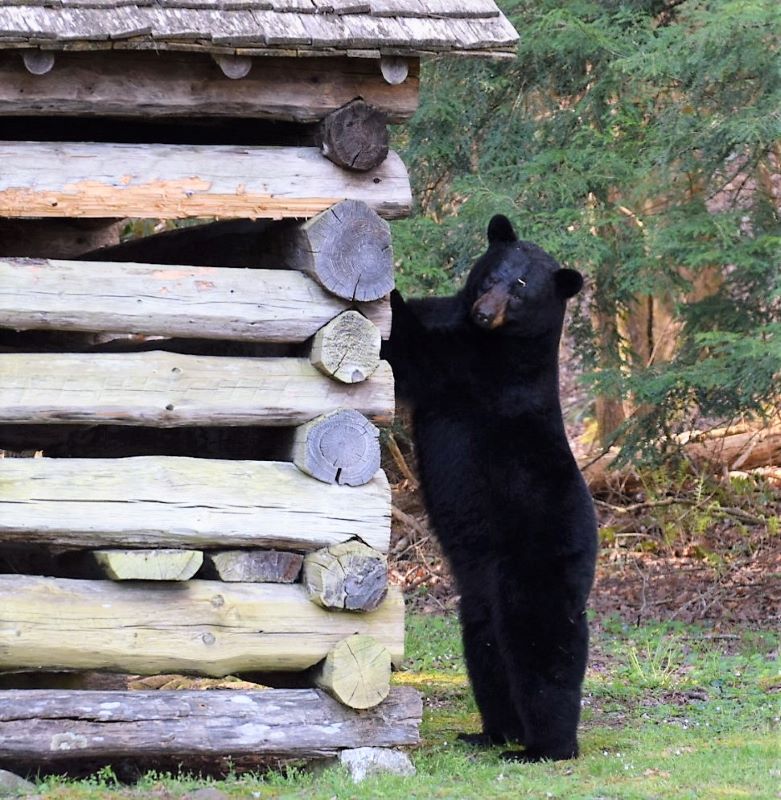 From Grand Isle to Wisconsin, April 7-May&nbsp;6