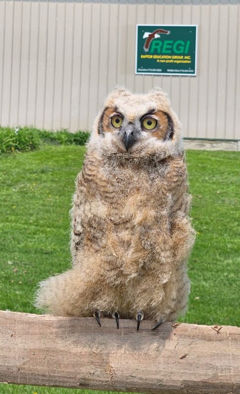 Last Week At&nbsp;REGI