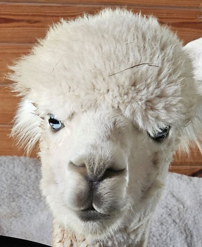 2023 Summer Road Trip – Days 3-5, Catching&nbsp;Up