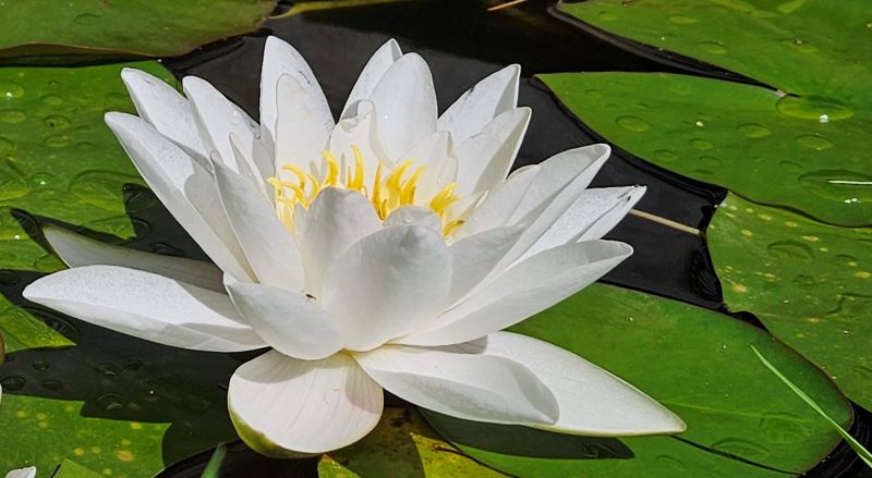 2023 Summer Road Trip – Day 39 – PEI South&nbsp;Shore