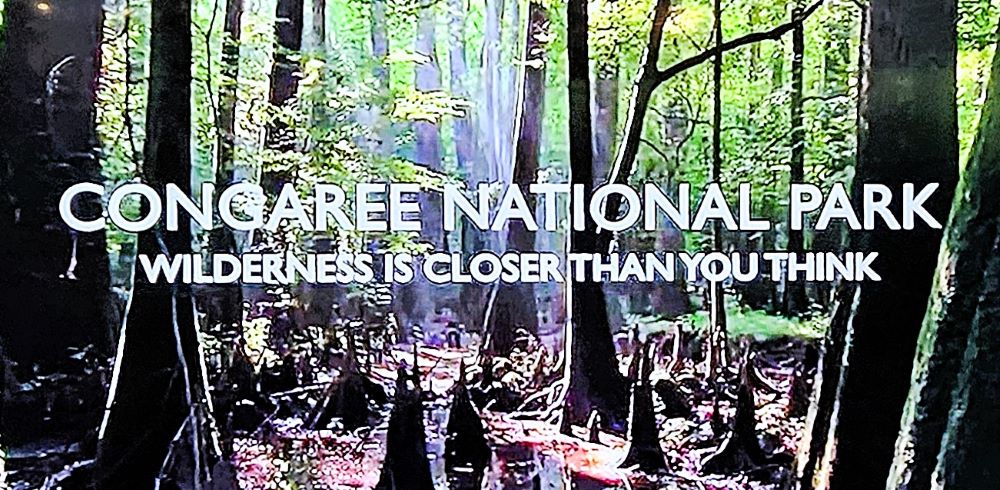 Congaree National Park and On To Our Next&nbsp;Project