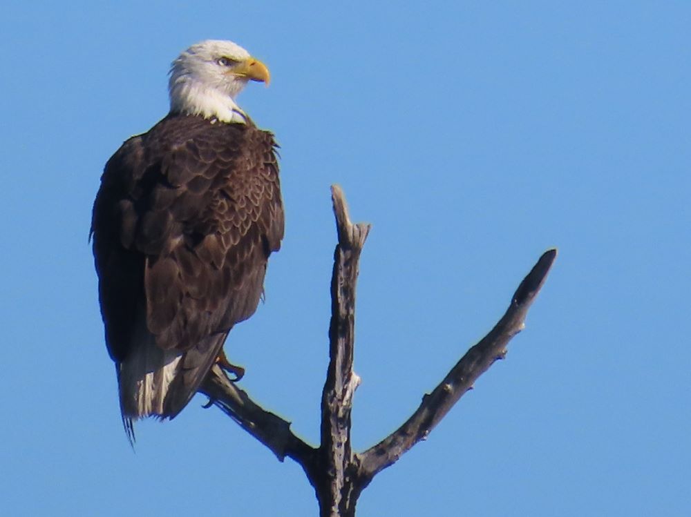 December 2025 at Gulf State&nbsp;Park